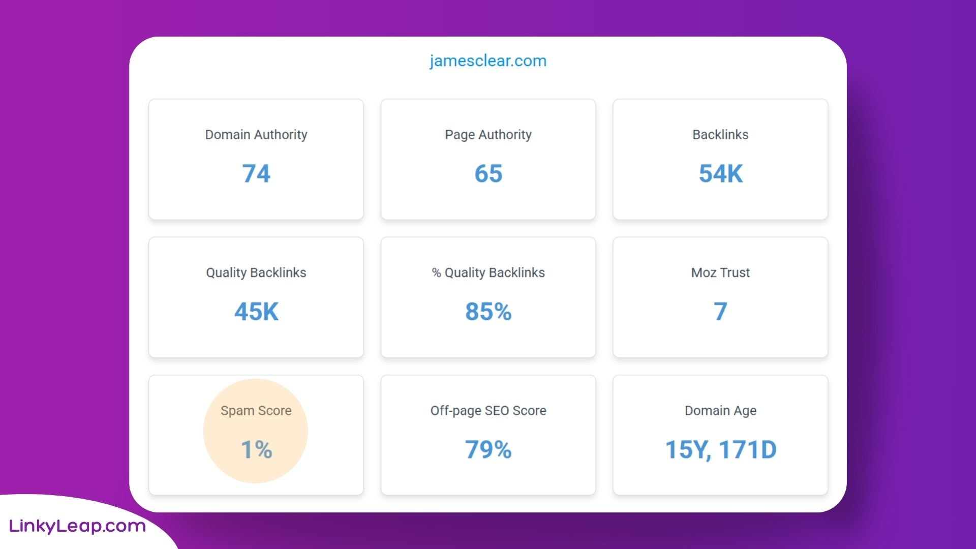 Website SEO checker spam score